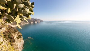 A coastal landscape with a cliff of cacti and a clear view of the sea.