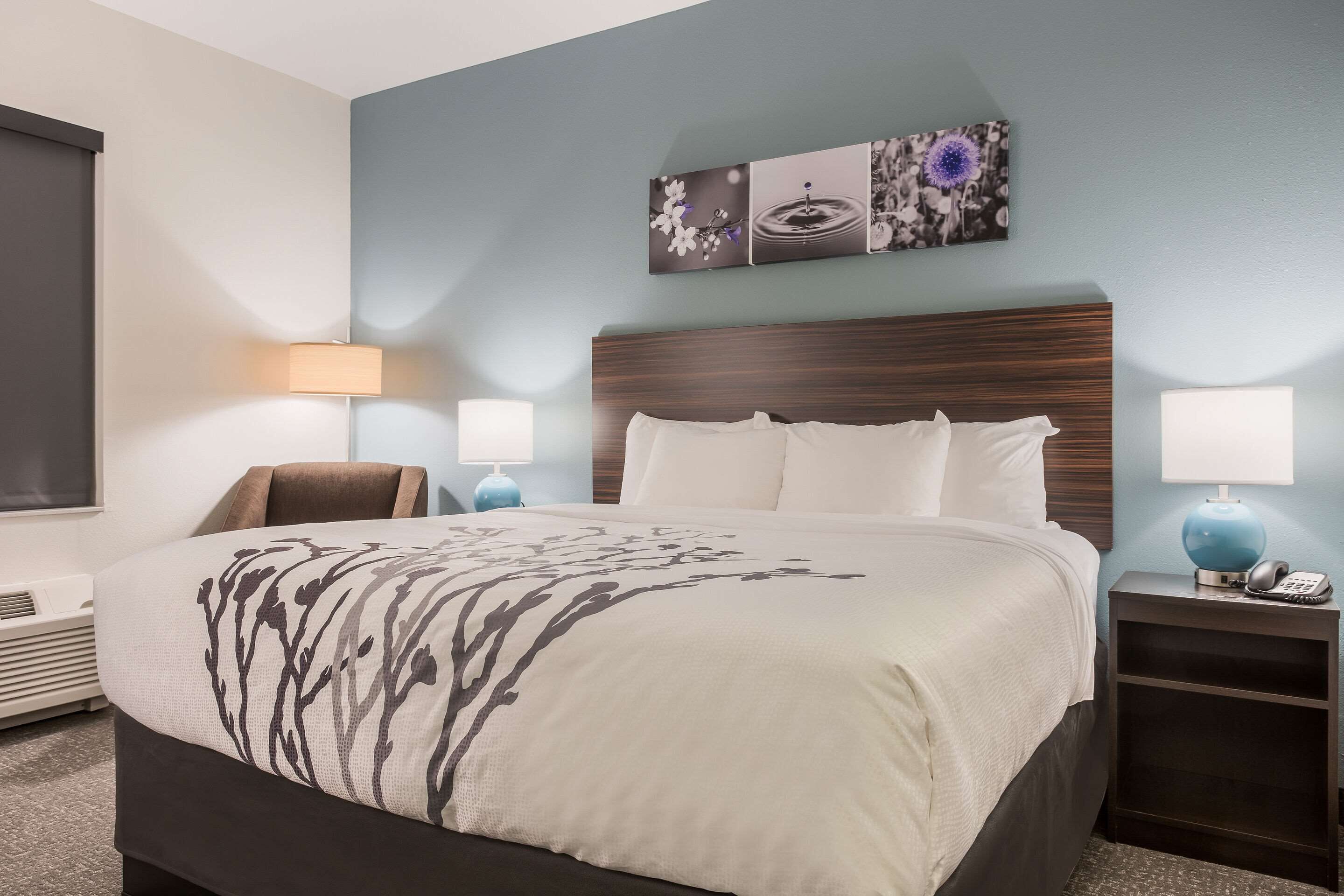 standard room, 1 king bed, non smoking | pillow-top beds, desk, laptop workspace, blackout curtains