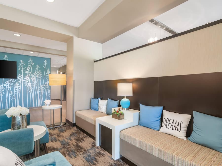 A hotel room with a sofa set, a small table with a lamp, a TV on the wall, and a decorative wall with a tree pattern.