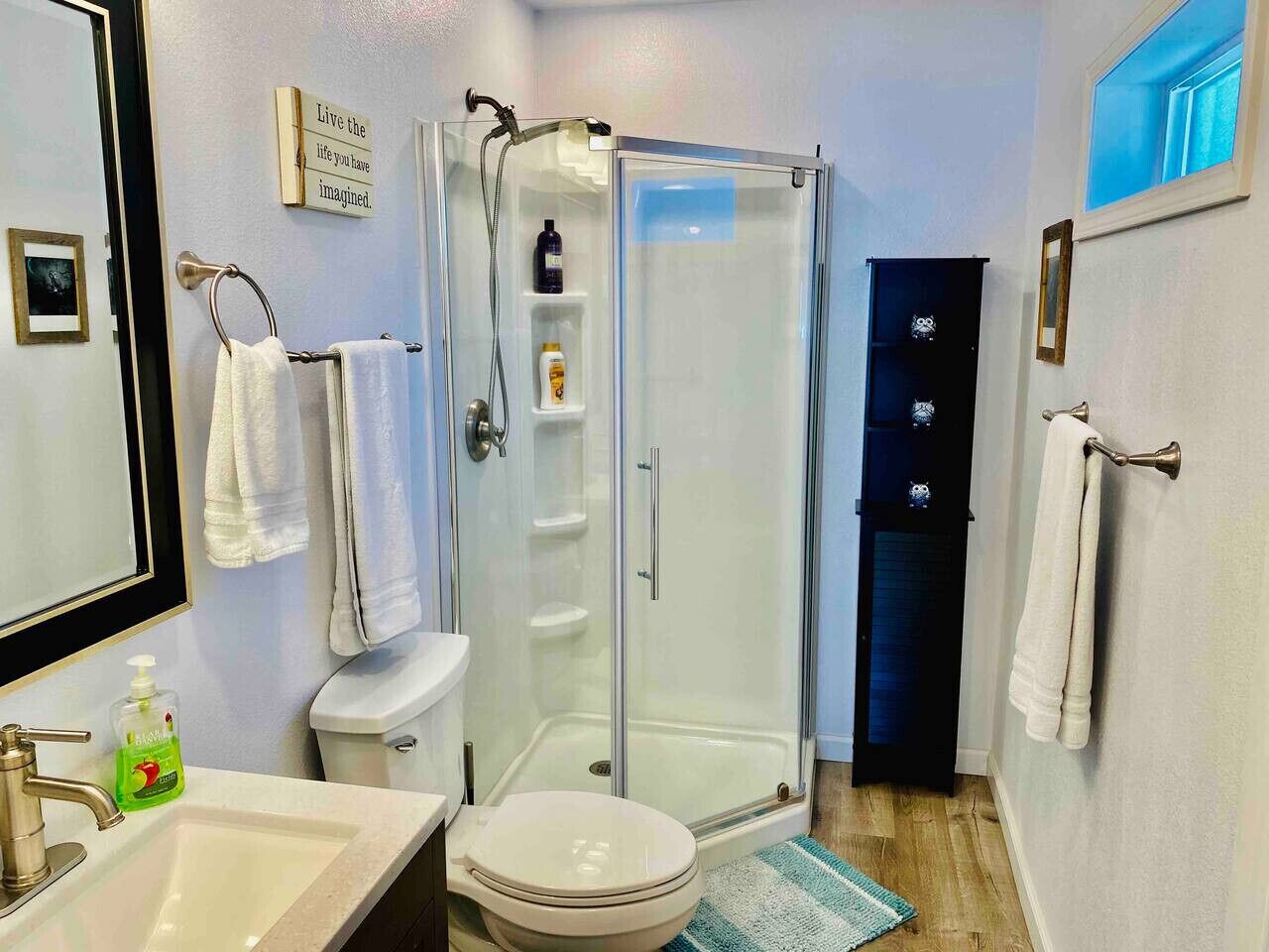 Shower, hair dryer, towels
