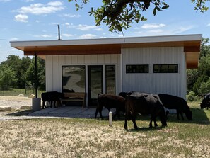 Exterior - Cozy/Cute Tiny House close to wineries, wedding venues & outdoor fun (Dripping Springs)