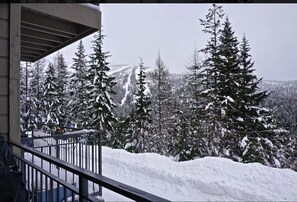 Ulkoalueet