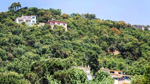 Uma encosta com vários edifícios rodeados por vegetação densa.