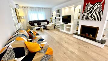 TV, fireplace, DVD player