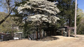 Un sendero de grava que lleva a un área cubierta con un árbol en plena floración.