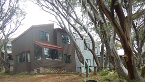 A dirt ground with a tire swing and a house in the background. - Mountain Retreat Suitable for 2 Families, Sleeps 8 (Mount Buller)