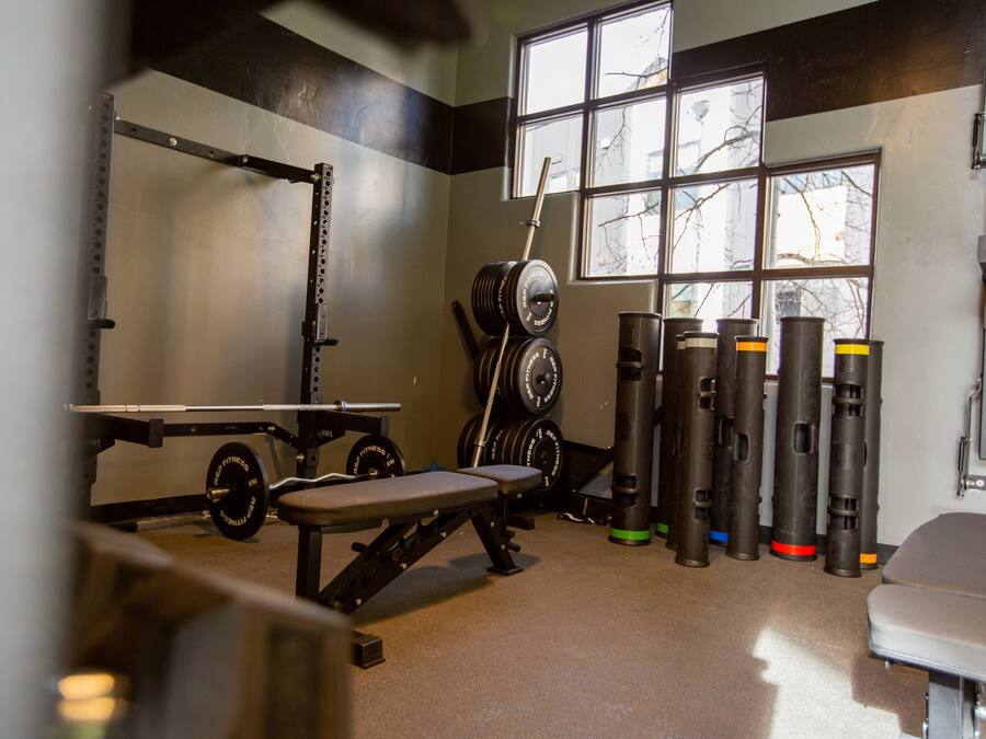 A gym with weightlifting equipment, a bench, and a window with a view of trees.