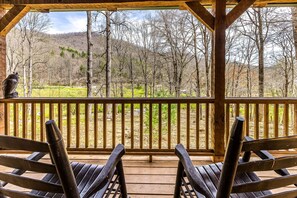 Property grounds - Secluded Cabin w/Free WiFi, Central AC, Deck, Mountain Views - Dog OK (Franklin)