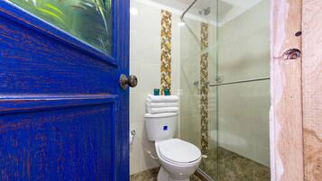 Un baño con cabina de ducha de vidrio, inodoro blanco y puerta azul.