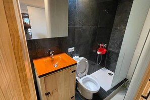 Chuveiro, secador de cabelo, toalhas de banho 