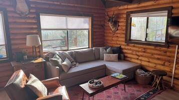 TV connectée, cheminée, livres