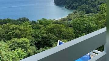 Vista desde la propiedad