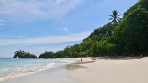 A beach with clear skies, calm waters, and lush greenery.