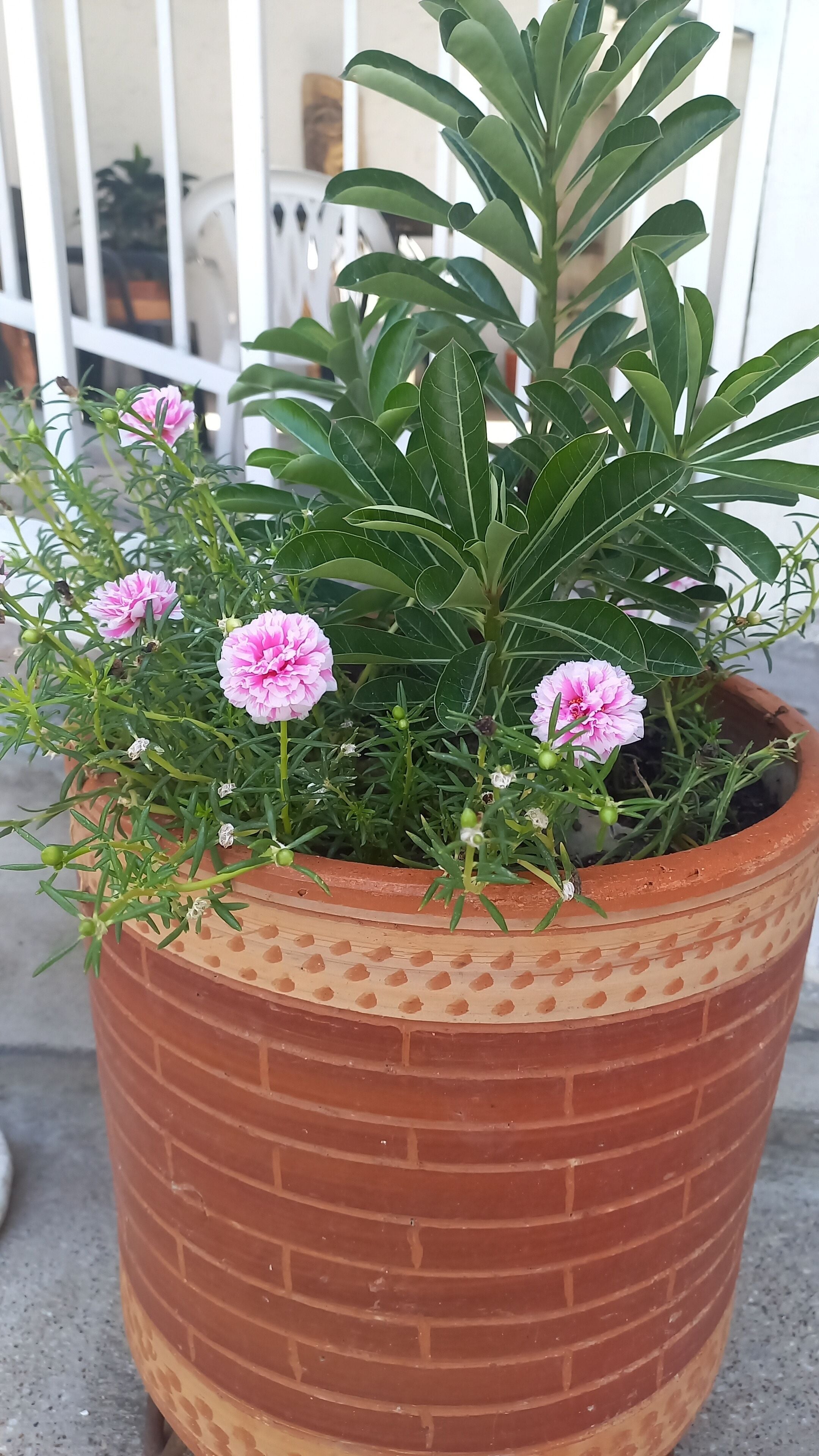 Foto - Hotel Neiva Providencia