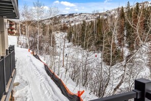 Property grounds - True Ski In/Out TH w/Scenic Slope Views-Heated Pool-Hot Tub-Gym-W/D-Covered Parking-Just Remodeled (Steamboat Springs)