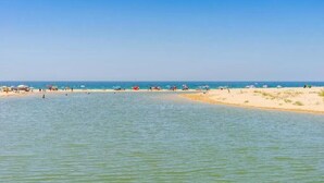 A beach with clear water, sandy shore, and umbrellas.