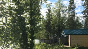 A rustic cabin with a green roof, surrounded by dense trees and a grassy area with wildflowers.