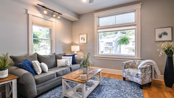 Smart TV, fireplace, books