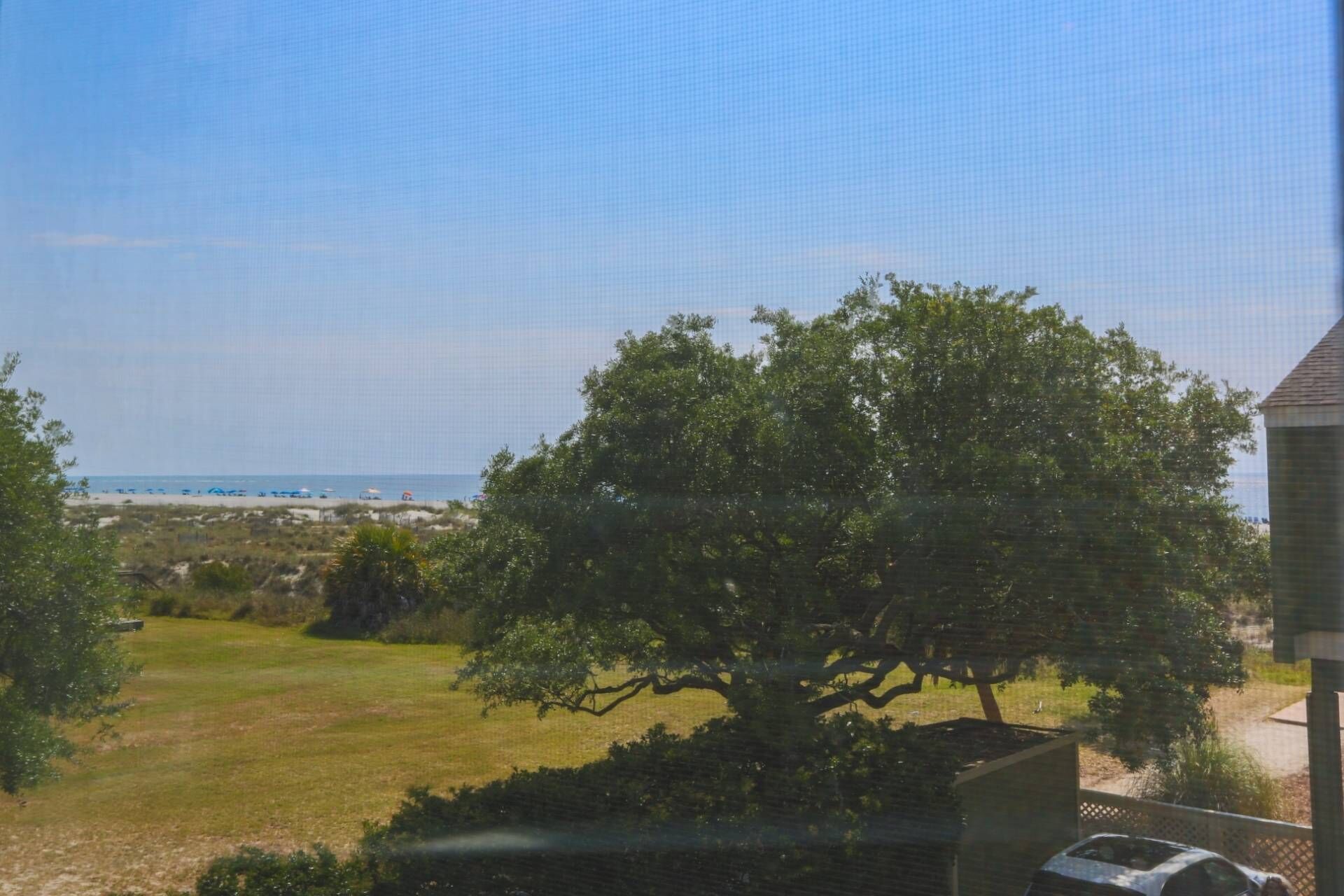 Une vue d’une plage avec un grand arbre au premier plan et un ciel dégagé.