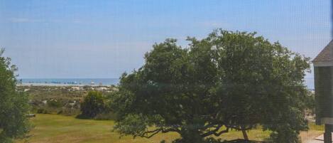 Une vue d’une plage avec un grand arbre au premier plan et un ciel dégagé.
