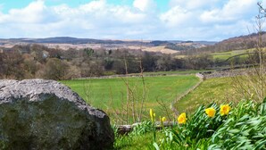 A rural landscape with a stone wall, green field, and yellow flowers.