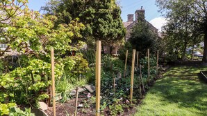 Un jardin avec différentes sortes de plantes et une clôture en bois.