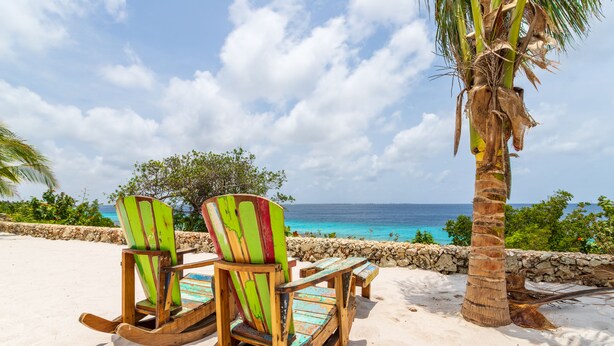 A beach with wooden rocking chairs and a palm tree.