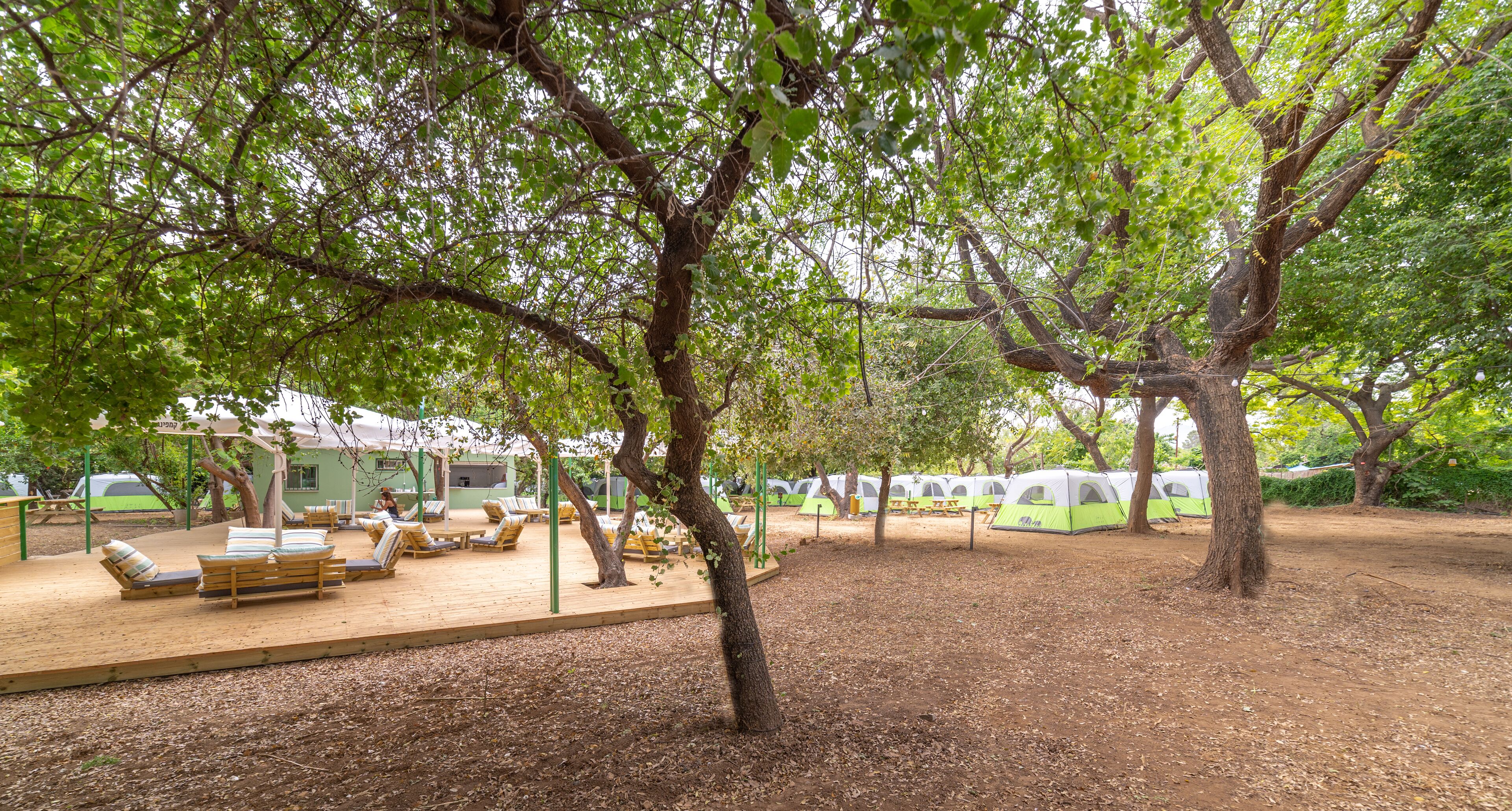 Un terrain de camping doté d’une terrasse en bois avec des sièges, de tentes et d’arbres offrant de l’ombre.