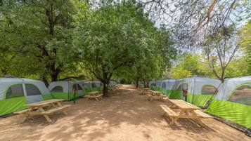 Tent | Free WiFi, bed sheets