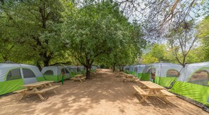 Tent | Free WiFi, bed sheets - Camping Dafna - By Travel Hotel Chain (HaGalil HaElyon)