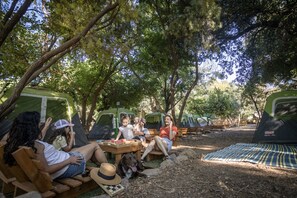 Exterior - Camping Dafna - By Travel Hotel Chain (HaGalil HaElyon)