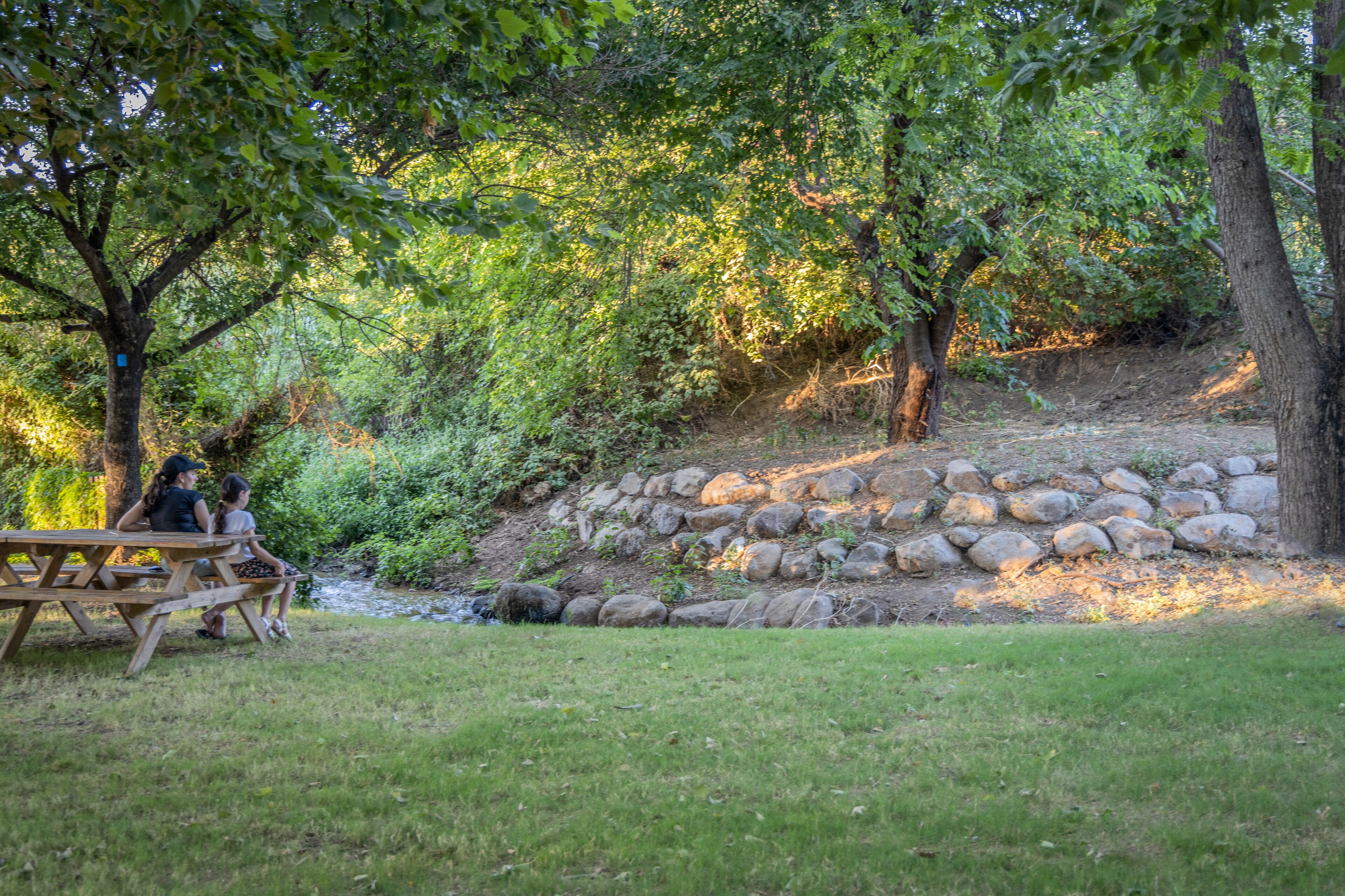 A picnic table in a wooded area with a small stream and a stone wall.