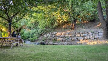 A picnic table in a wooded area with a small stream and a stone wall.
