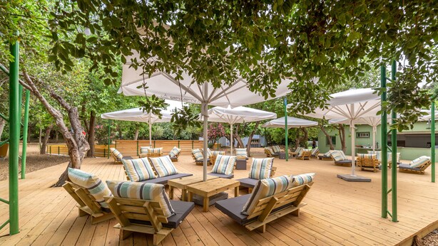 An outdoor seating area with wooden furniture and white umbrellas, surrounded by trees and greenery. - Camping Dafna - By Travel Hotel Chain (HaGalil HaElyon)