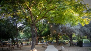 A campsite with picnic tables, tents, and a walking path. - Camping Dafna - By Travel Hotel Chain (HaGalil HaElyon)