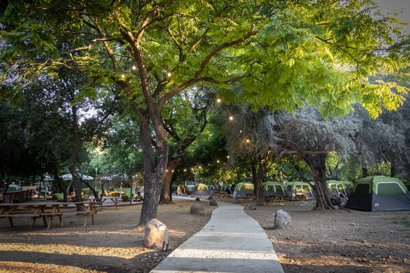 Exterior - Camping Dafna - By Travel Hotel Chain (HaGalil HaElyon)