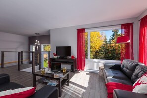 Cheminée, lecteur de DVD, table de tennis de table