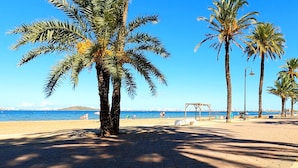 Eine gepflasterte Promenade mit Palmen, einem Strand und einer Stadtkulisse im Hintergrund.