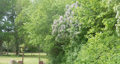 Schmiede der Wasserburg Liepen