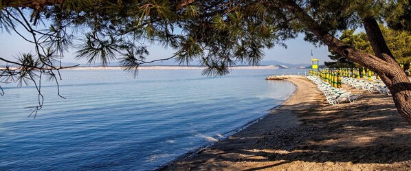 Relax on the beach with a clear view of the sea, surrounded by lounge chairs and a natural canopy of trees.