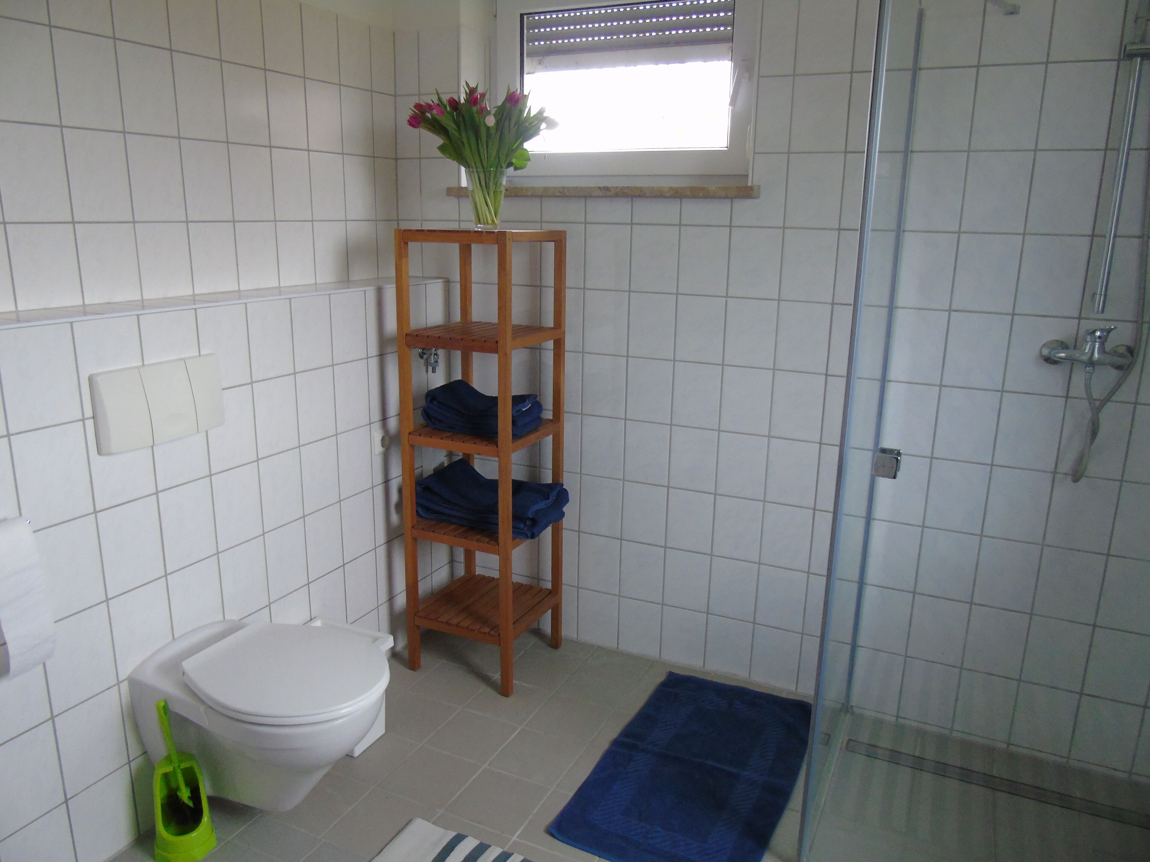 Een badkamer met een toilet, een houten plank met opgevouwen handdoeken, een groene schoonmaakborstel, een blauwe badmat en een raam met uitzicht op buiten.