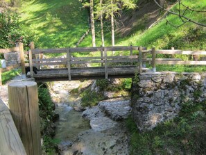 المنطقة المحيطة بالمنشأة