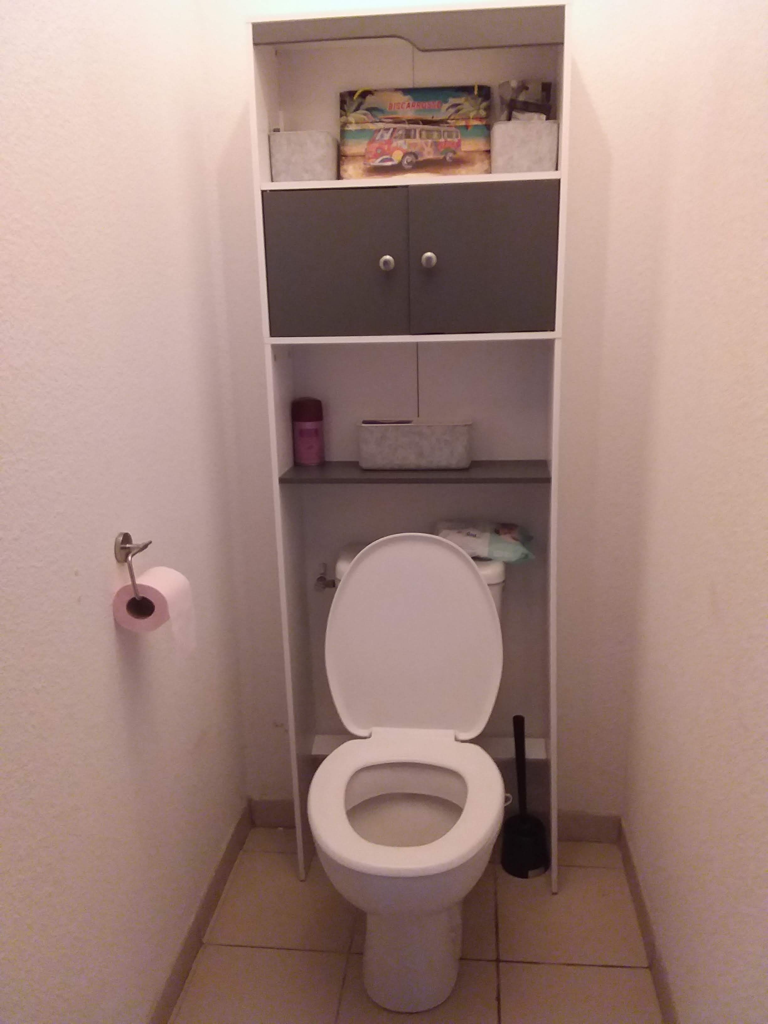 A compact bathroom with a toilet, a shelf above the toilet, and a toilet paper holder on the wall.