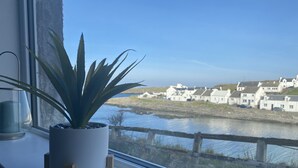 A potted plant on a windowsill with a view of a river and houses in the distance.