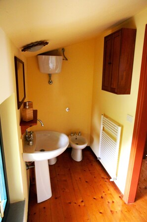 Shower, hair dryer, bidet, towels