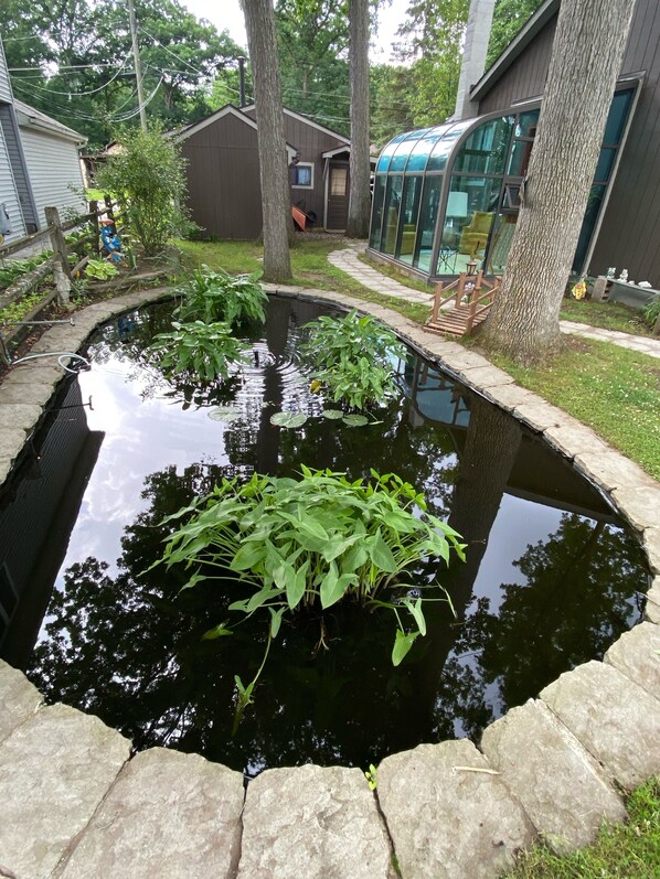 Ein Teich mit Wasserpflanzen, umgeben von Steinrändern, in einer Wohngegend mit Häusern und einem Glasgebäude.