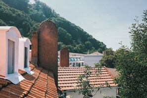 A rooftop with terracotta tiles, a white building with a door, and a hill in the background. - Casa Didi - 3km do centro -  by Trip2Portugal (Sintra)