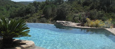 Relax by the serene pool surrounded by lush greenery and a natural backdrop.