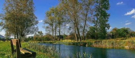 Área da propriedade