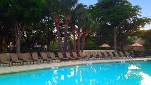 Ein Poolbereich mit Liegestühlen und Sonnenschirmen, umgeben von Bäumen.